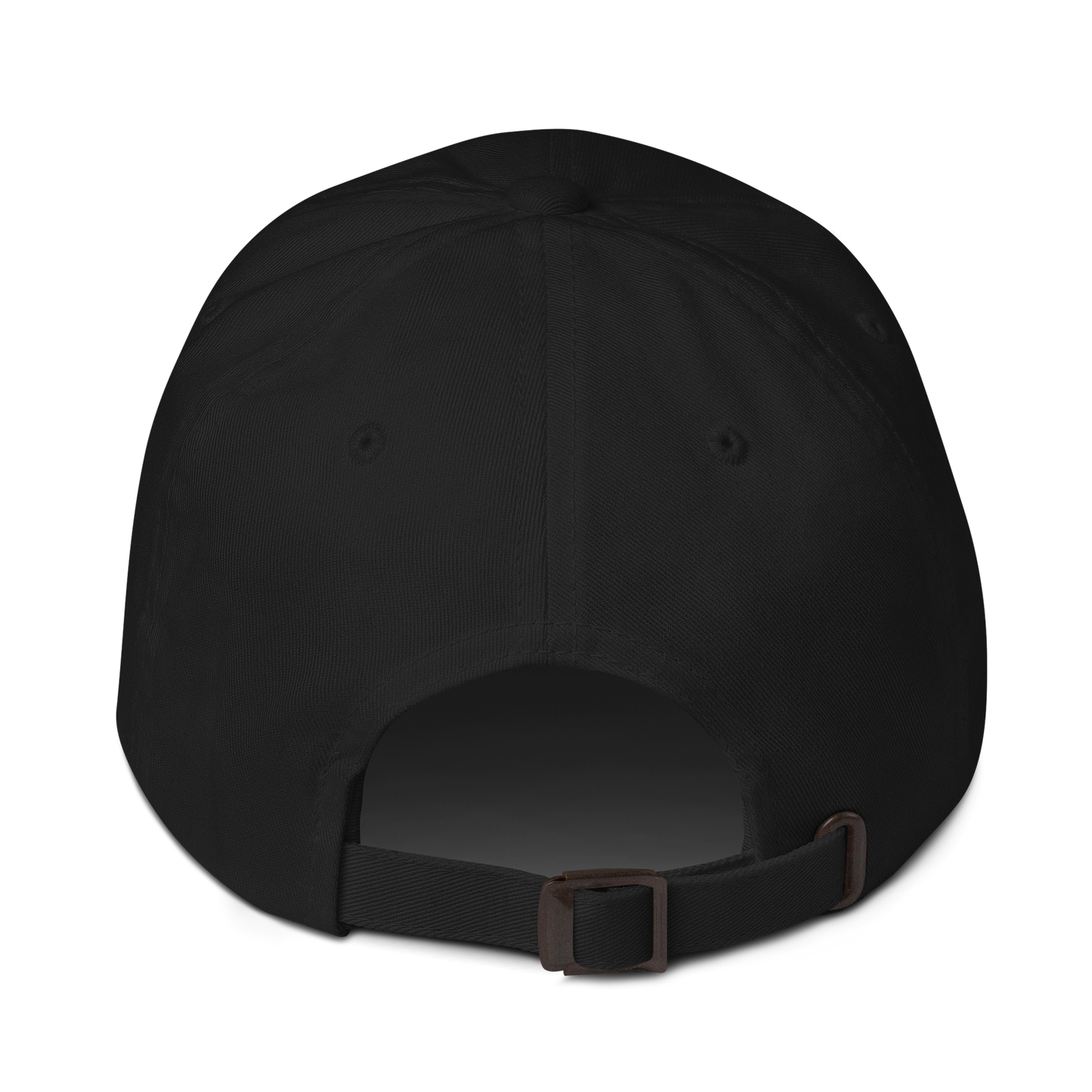 'DID YOU ++ IT?' Dad Hat