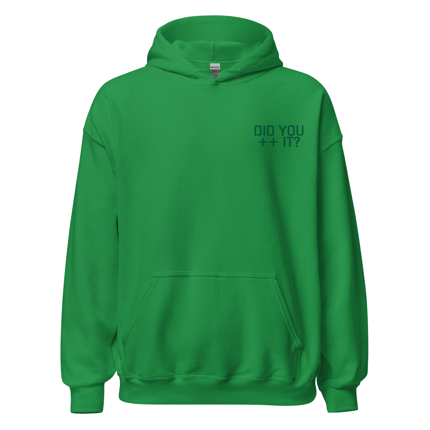 "DID YOU ++ IT?" Pullover Hoodie