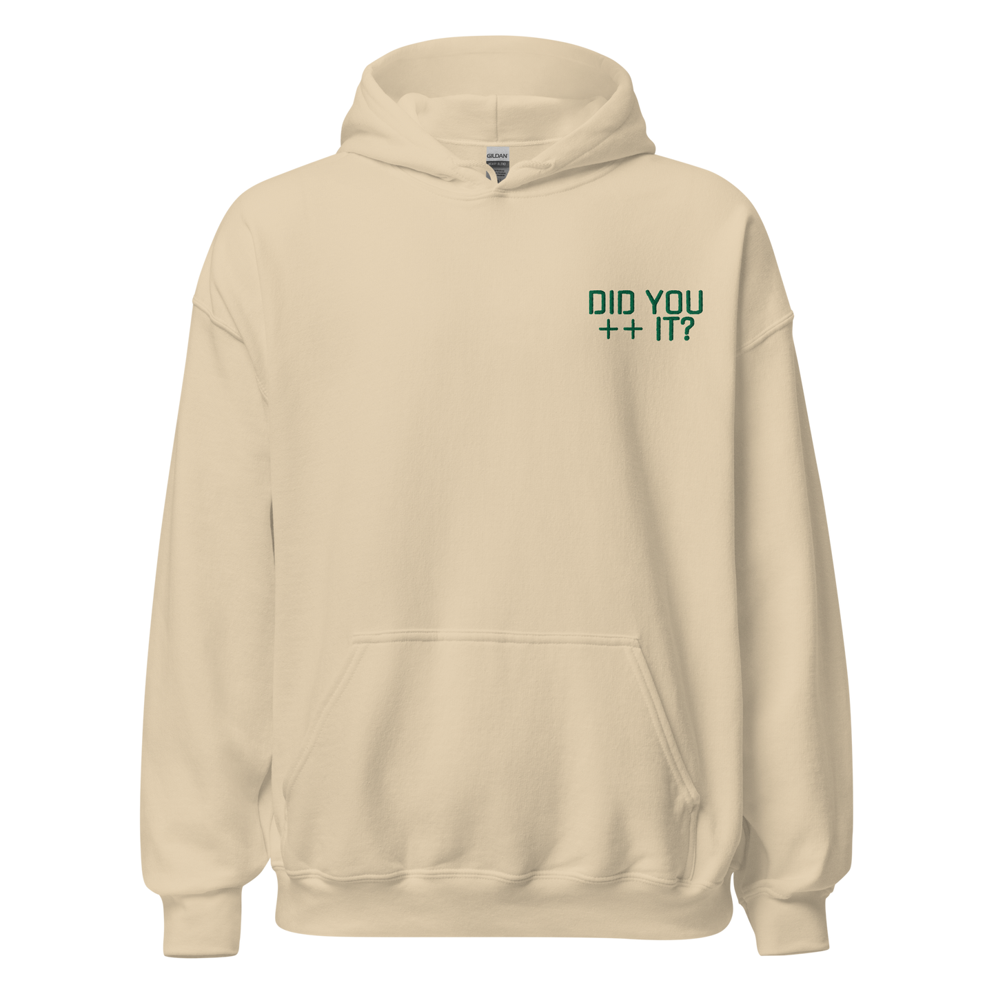 "DID YOU ++ IT?" Pullover Hoodie