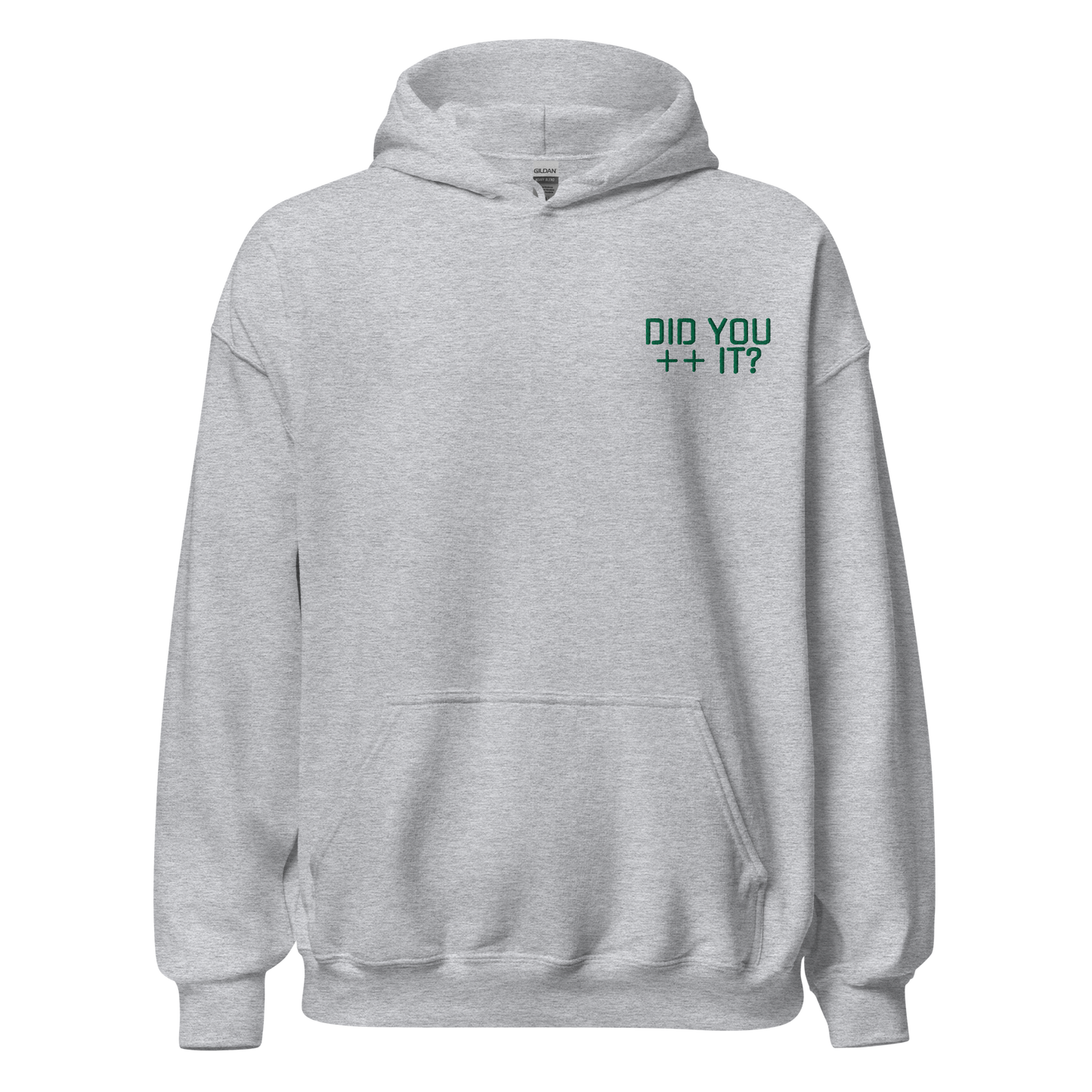 "DID YOU ++ IT?" Pullover Hoodie
