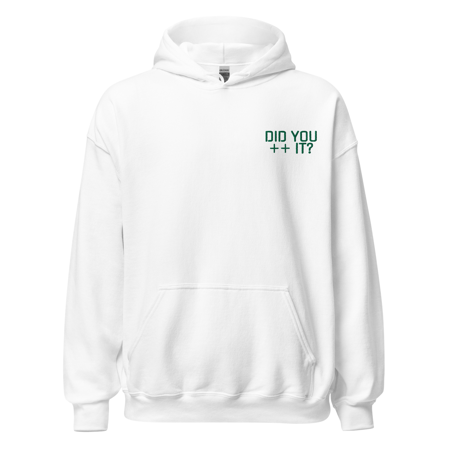 "DID YOU ++ IT?" Pullover Hoodie